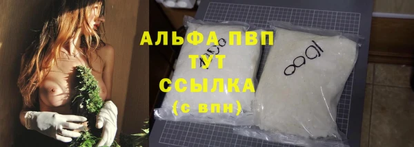 прущая мука Корсаков