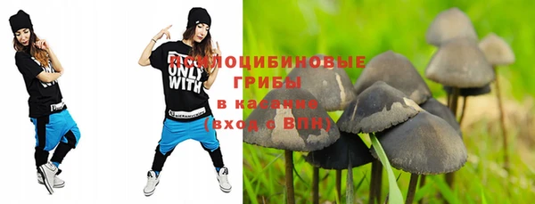 2c-b Костерёво