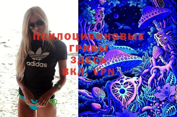 прущая мука Корсаков